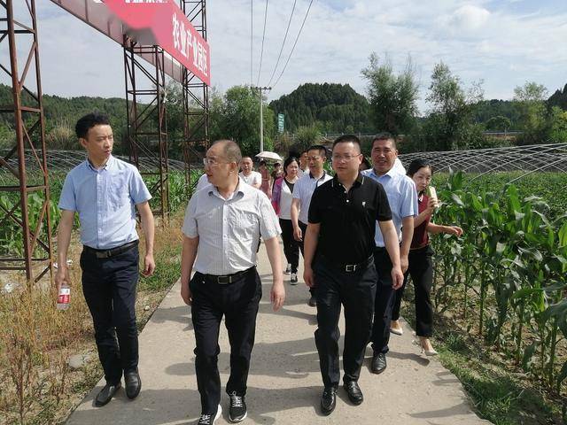 6月10日,市政协主席,市委宣传部部长邓茂一行莅临