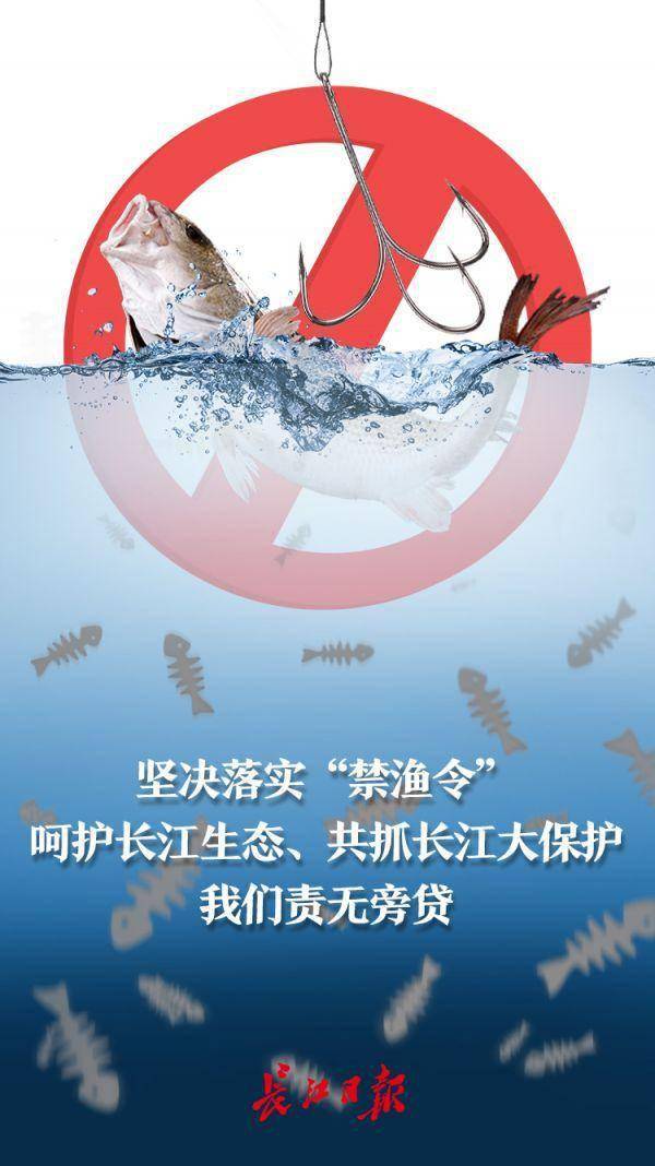 坚决落实"禁渔令",呵护长江生态,共抓长江大保护我们责无旁贷|海报