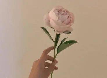 坏坏撩人的情话短句 1f3b6c2c05dd4fdbb890502fc769f304.jpeg
