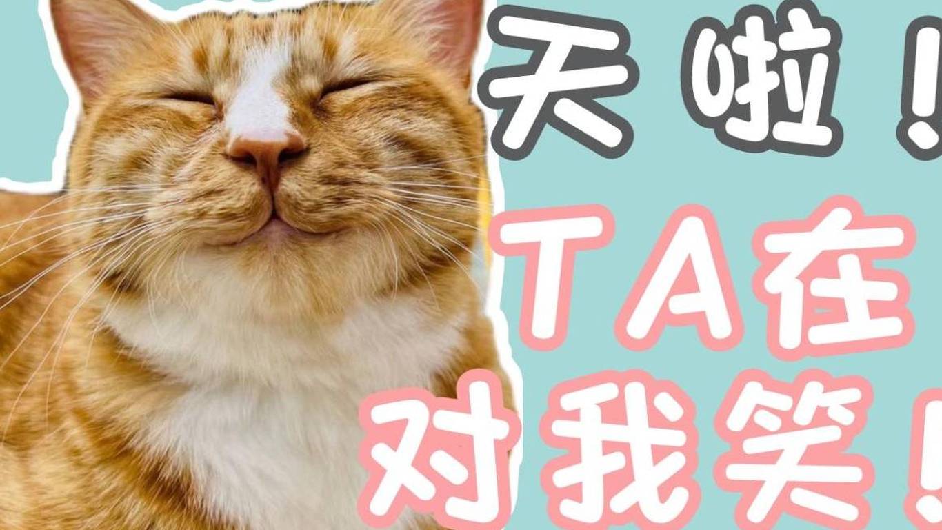 猫咪会笑吗？ta们是怎么表达开心的？