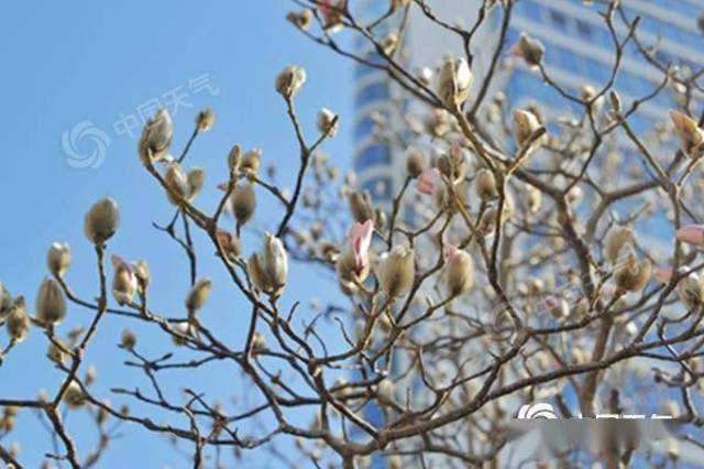 "跑步"入春  多地超前体验4月的暖意