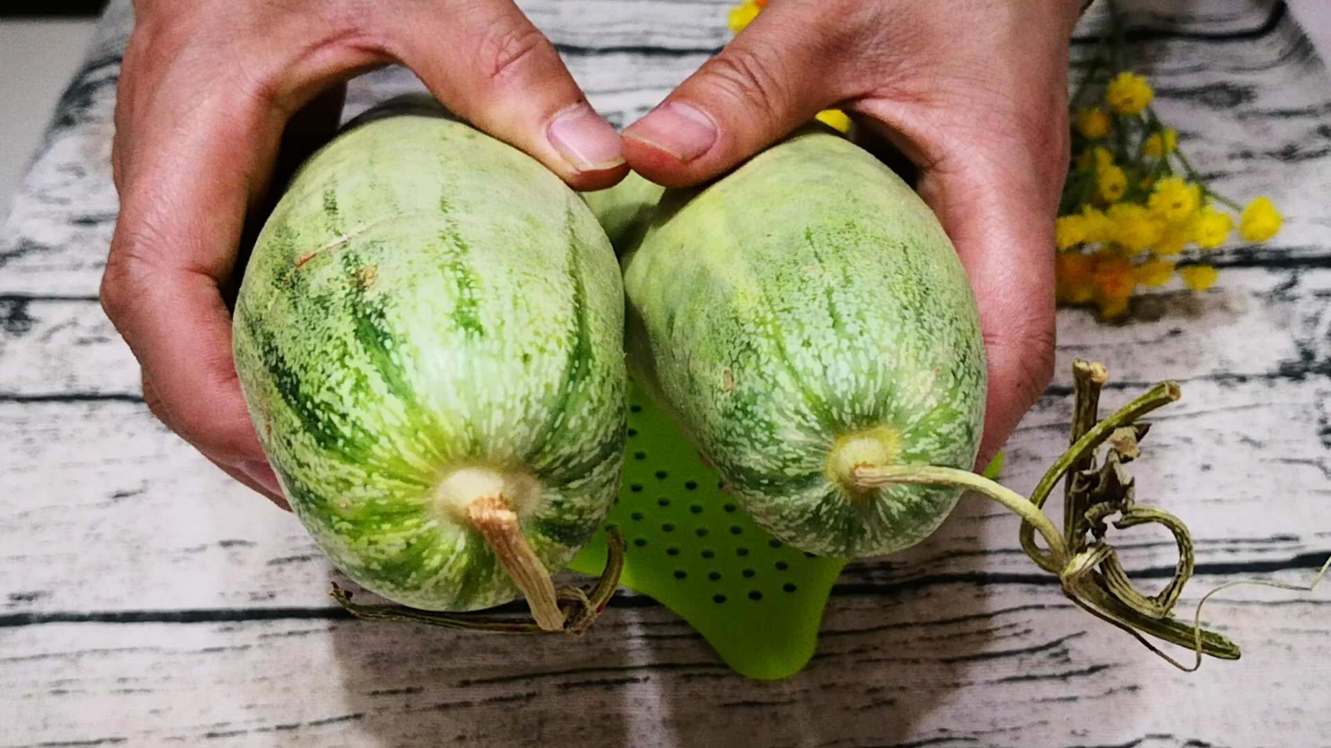 原创同是羊角蜜瓜脐大还是小的好老果农透漏秘诀香甜爽脆还好吃