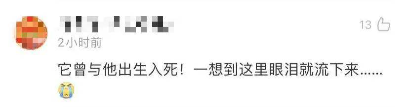 汶川地震搜救犬沈虎雕像落成，训导员泣不成声