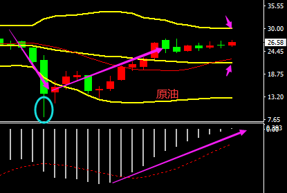 上金所黄金价格波动影响投资决策