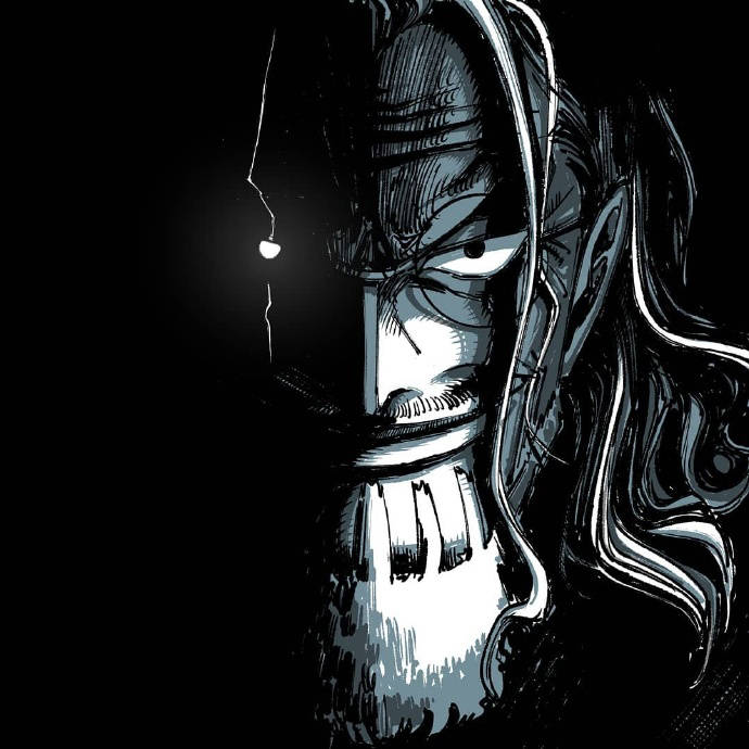 索隆与山治的组合