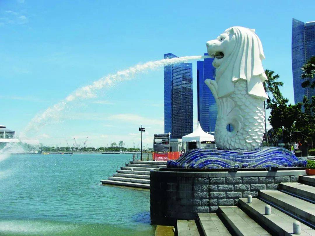 狮从何处来？ _狮子