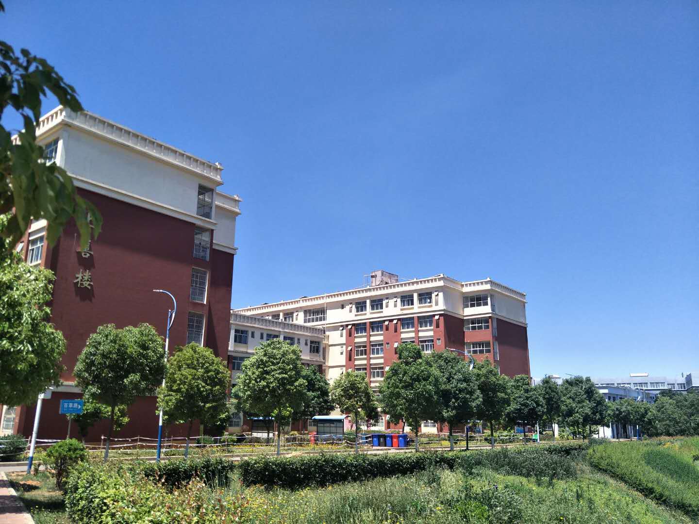 2020年云南省独立学_云南外国语学校2020年高考成绩喜报