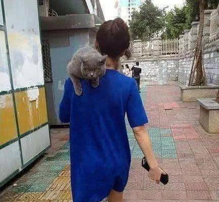 看图猜成语有屎_看图猜成语(3)