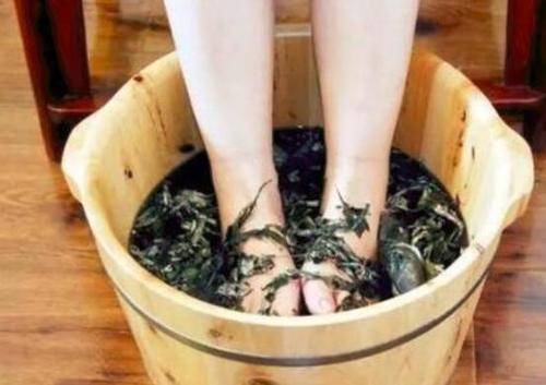 艾叶泡脚的好处有哪些
