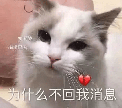 苦瓜表情包搞笑 562f737fdf0d4c7c9e4e1dbac049a2a1.png