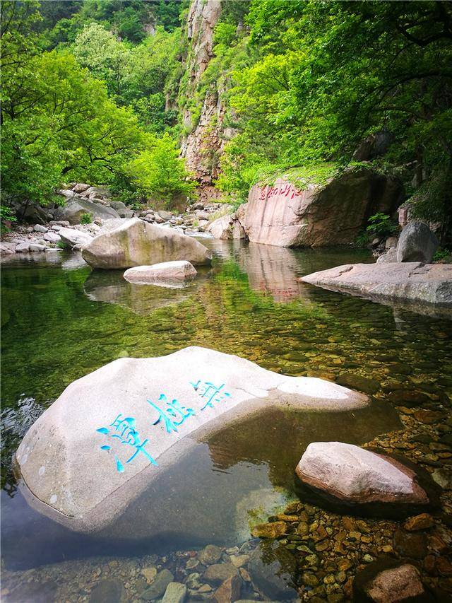 雨后青岛北九水进入最美季山青树翠水清凉