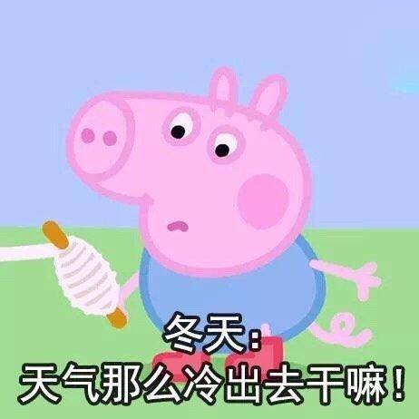 冬天:天气那么冷出去干嘛!