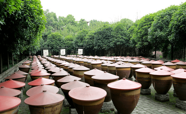 四川郫都区:传统文化浸润 传承非遗文化