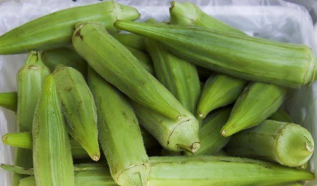 木薯是什么做的吃多了好不好 2baceafc7daa431092090f5b87e77f49.jpeg