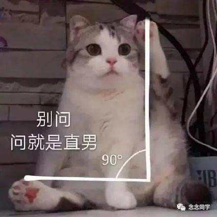 1c16678bf7a64969b97228f9475a9623.jpeg