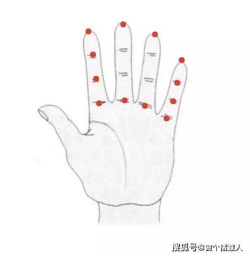 下面大家来看一下左手的手掌图