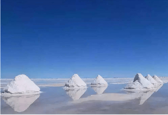 海水煮盐和人类一样,动物也得为身体补充盐分,它们总是能在大自然中