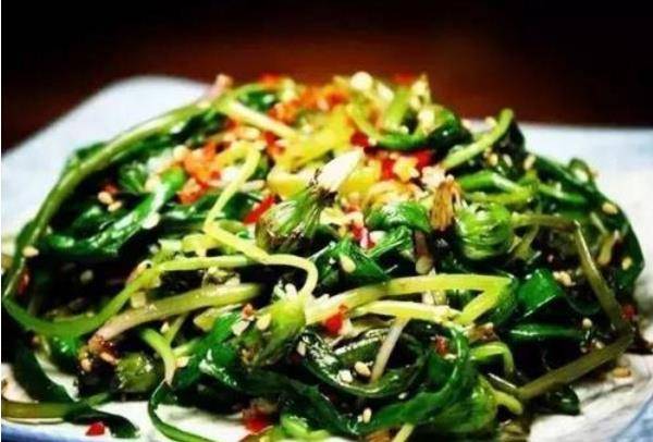 蒲公英的吃法大全 a1e07aedcb854f7a8f2e1bb6d6ac9cc0.jpeg