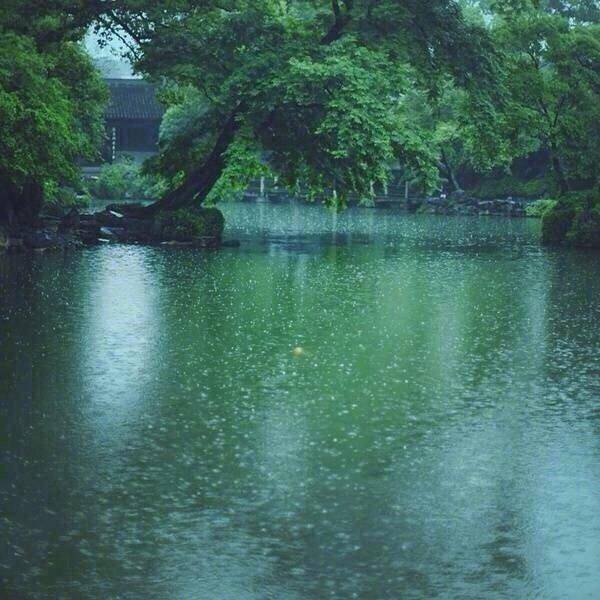 《听雨》