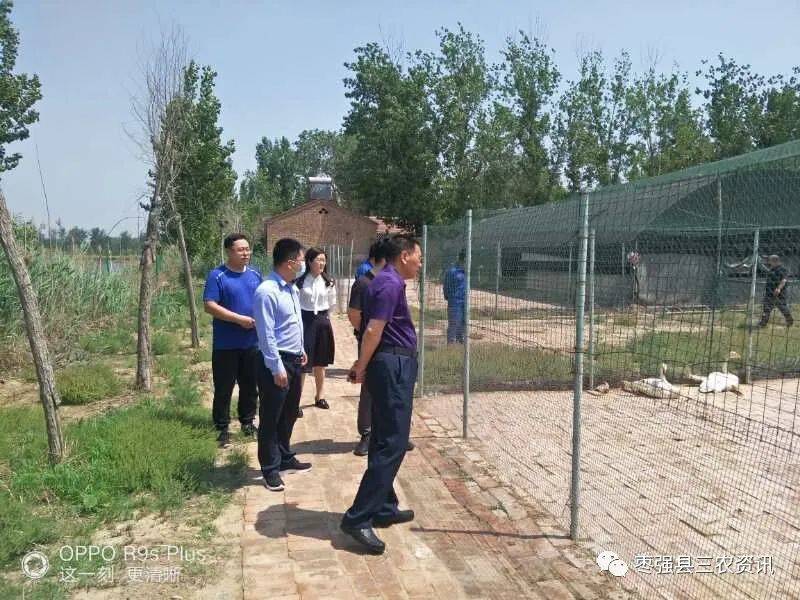 衡水市枣强县人大到农业农村局检查公共卫生管理监督工作