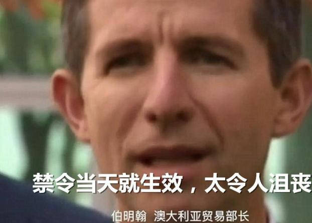 澳洲议员“我才不管中国”，提议禁止奶粉出口(图1)