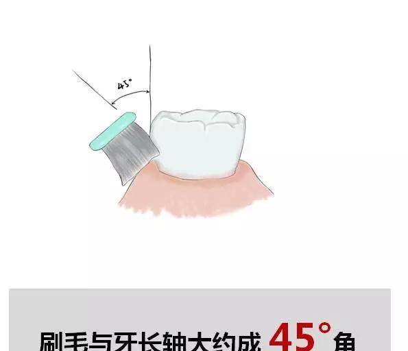 如何使用牙线清洁牙 c68902fecf014cc382850ae295135ece.jpeg