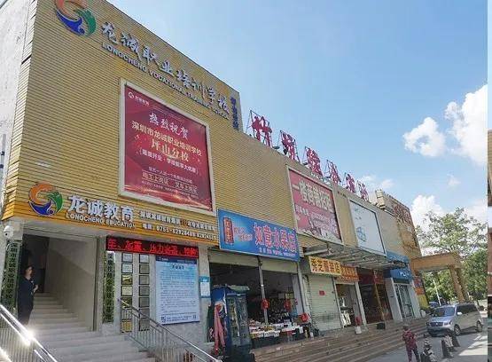 深圳园山街道gdp_深圳gdp变化图(2)