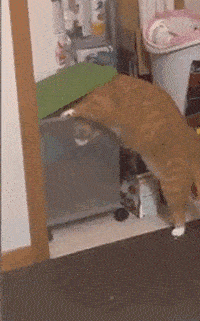 搞笑gif:太尴尬了!没看清,你难道不感觉臭吗?