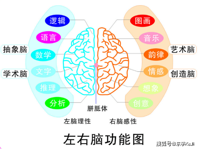 719efa3750db449e9d6292e44a4d8888.png