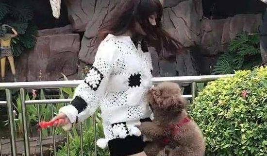 狗为啥总是抱腿 85ff8cd8b00e4d7bb05ef201b8856fb7.jpeg