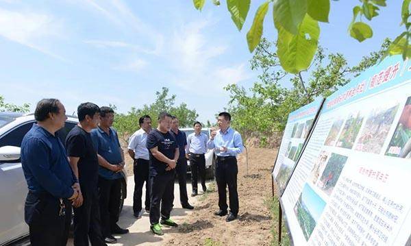 吕梁市政府副厅级干部张效彪在石楼县调研