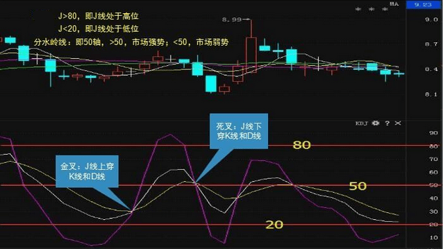 什么是三高指标 1f1516e0a634445f96115cf5f0069a8e.png