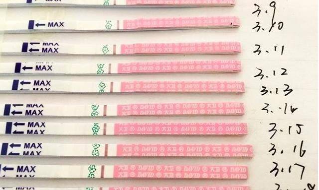 原创排卵期备孕还是没成功?也许是错过了这个时间,不妨了解 原创排卵期备孕还是没成功?也许是错过了这个时间,不妨了解