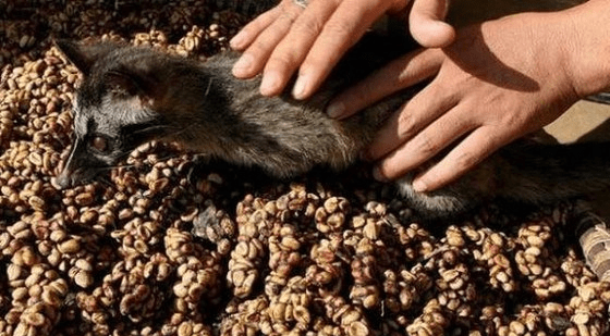9a8e0cd96b1d48fe875335c43ecb8af9.png