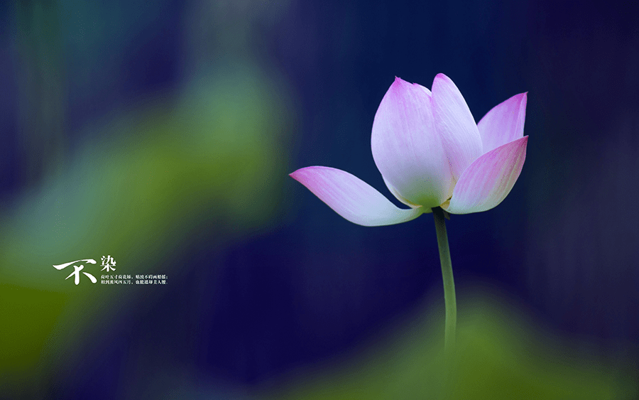 b17ba943545f464d9e231485d990f6ab.png