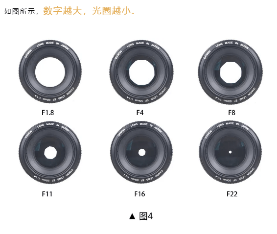 bcd61b2147394d5abc3ece3d1395d616.png