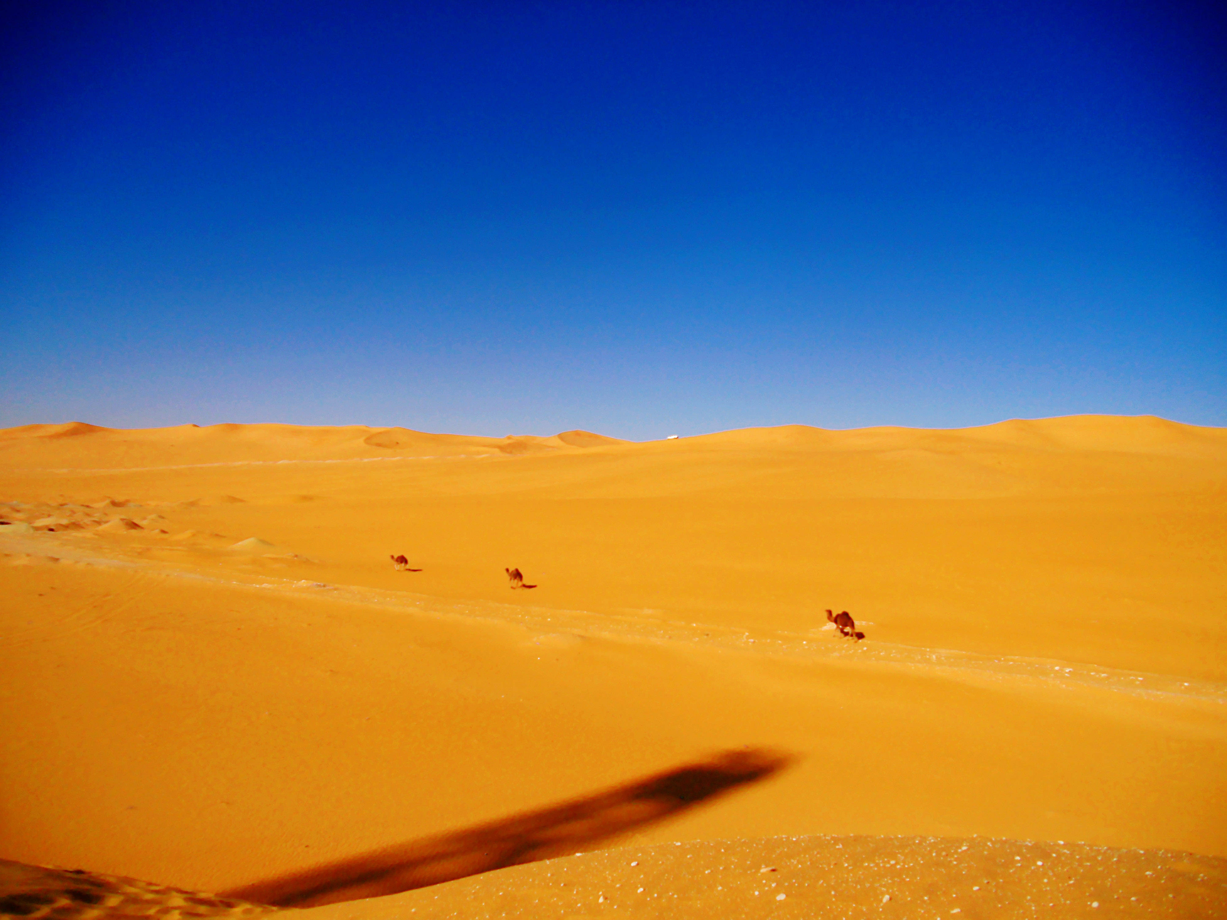 撒哈拉沙漠：三毛笔下“最美丽的家”，现实中却很残酷 - 知乎