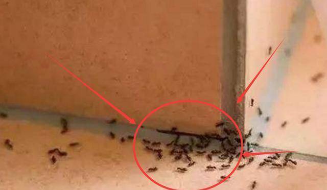 3ec6a277b8e7477fb1ce0fe4a2837bf2.jpeg