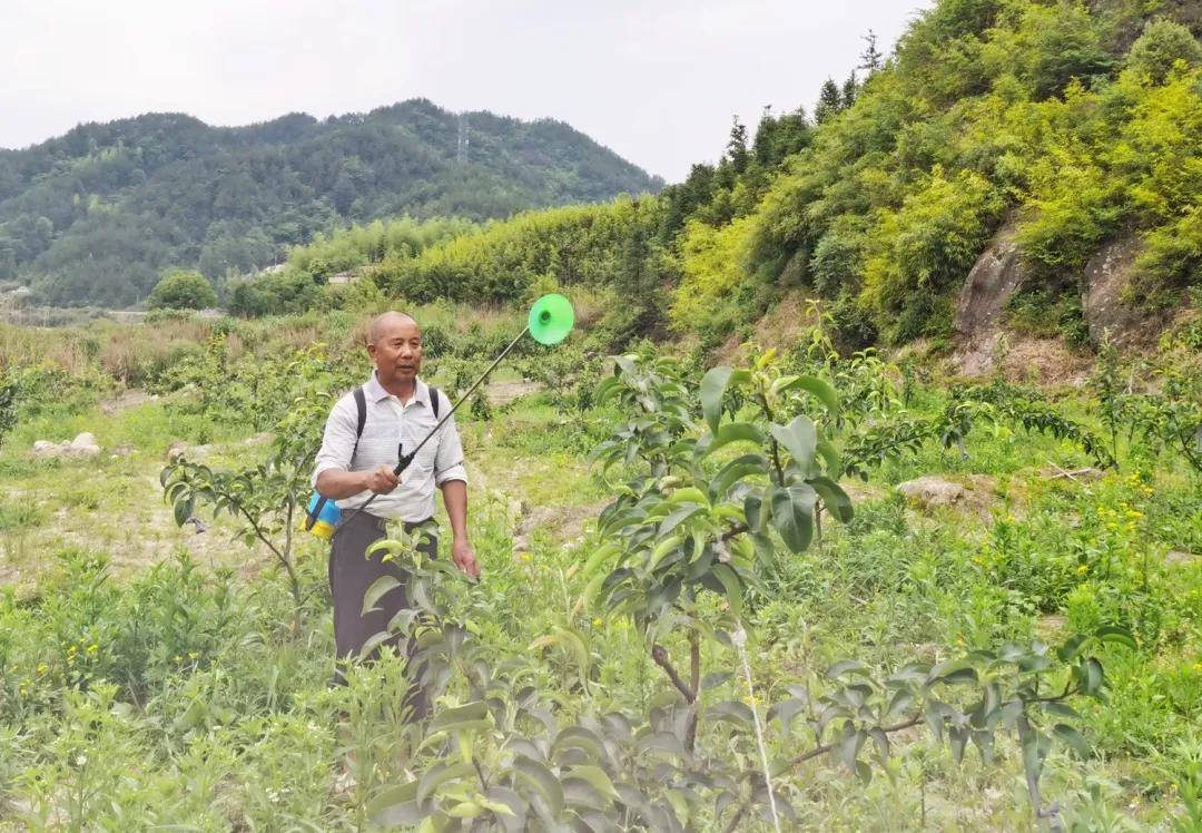 南江县有多少人口(3)