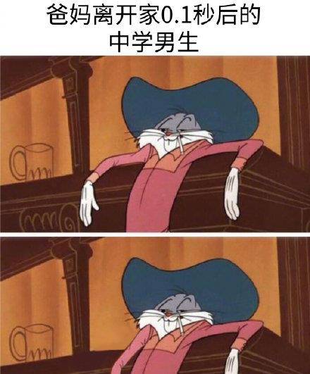 f1b0da8c5f9342a2bf50aa36865142ee.jpeg