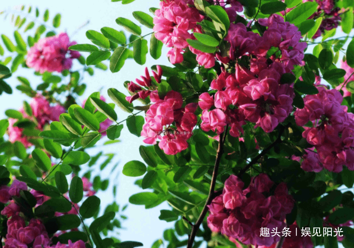 651e5048531e405aba75057462d2cc46.png