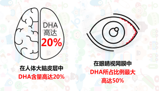 有味有型又有颜的dha藻油凝胶糖果_手机搜狐网