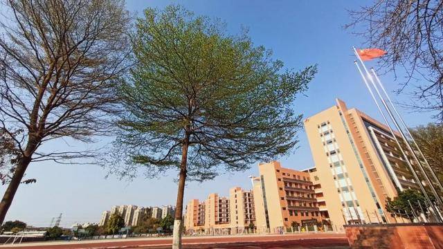专业|广州市商贸职业学校：高职专业学院物流管理专业考试大纲来了！！赶紧码住！