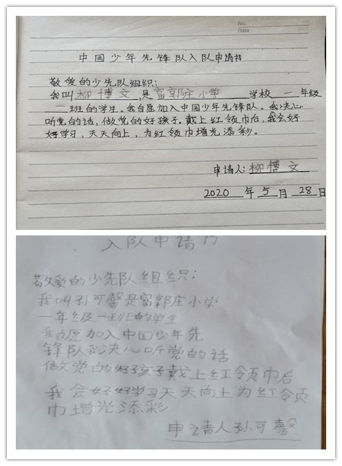 山东省潍坊市寒亭区朱里街道富郭庄小学少先队 迎"六一"六项技能展示