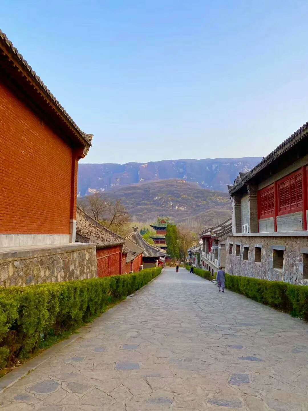 教育|嵩山少林武校老师会体罚学生吗