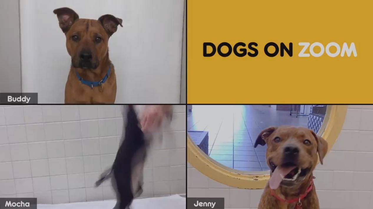 aa23782c10984e2f989978120ca885d6.jpeg