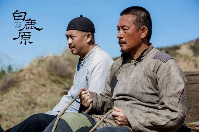 石头儿子结局 ad9df963a0f34d6fa9ad76a075023a5f.jpeg