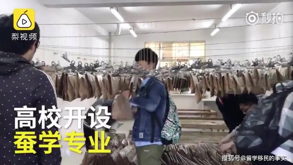 大学冷门专业有哪些 5ab11b7a00c343f2801f7efdc161f788.jpeg