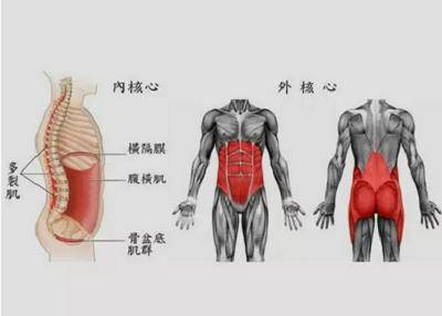 核心力量到底指的是哪里的力量