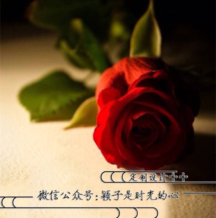 53张中华姓氏头像，俊美的字体，简单大方，请查收带走！